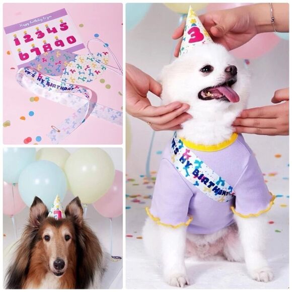 Dog Birthday 🎂 Party Hat & Sash - Picture 1 of 7
